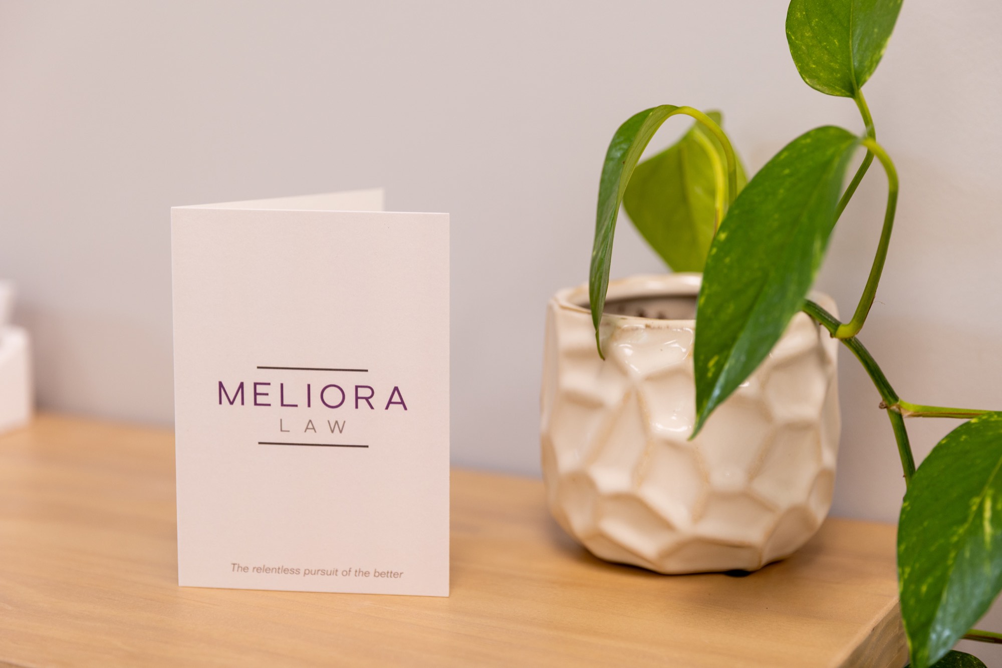 A Meliora Law brochure on the desk beside a plant